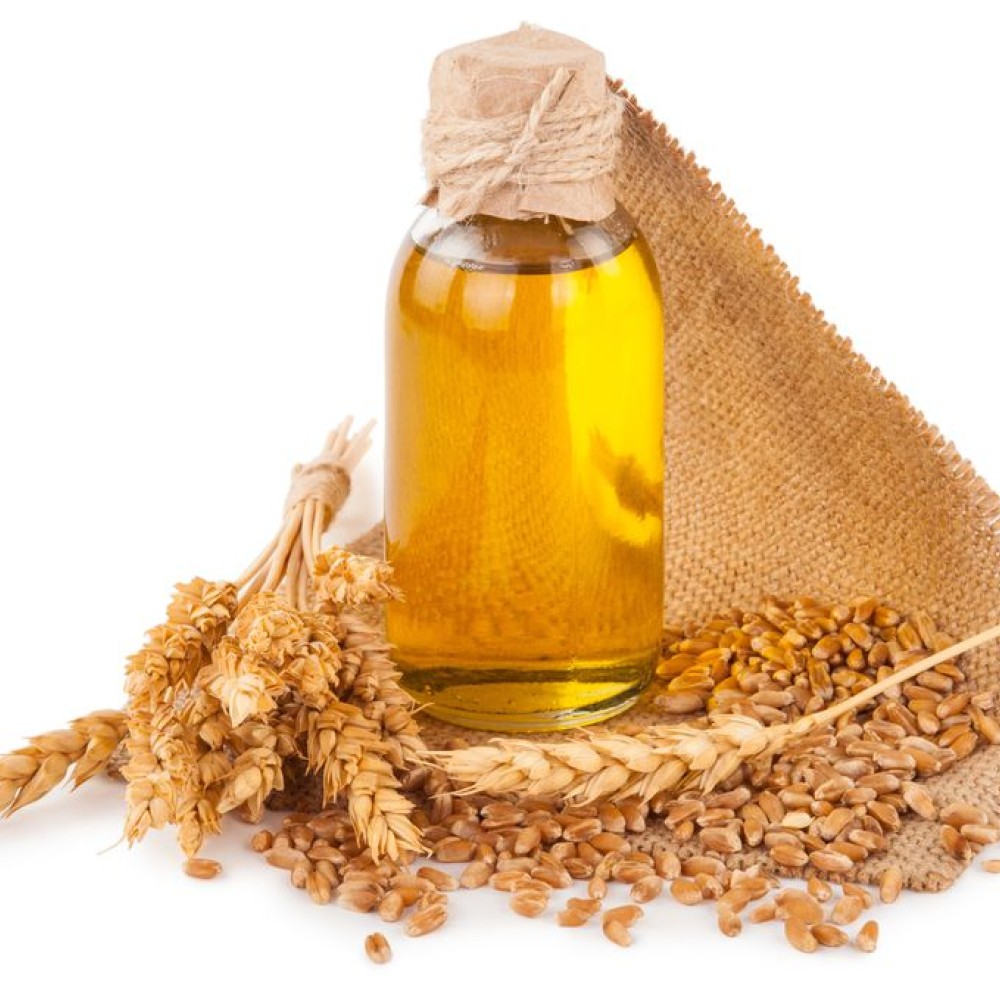 زيت جنين القمح زيت جنين القمح